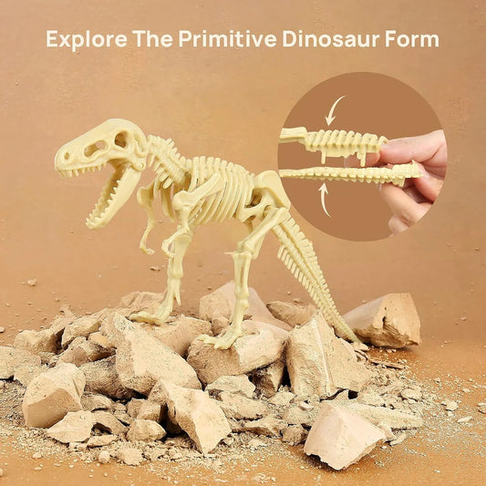 Large Dinosaur Skeleton Soil Excavation Kit – Dig, Discover & Assemble Fossil Model
