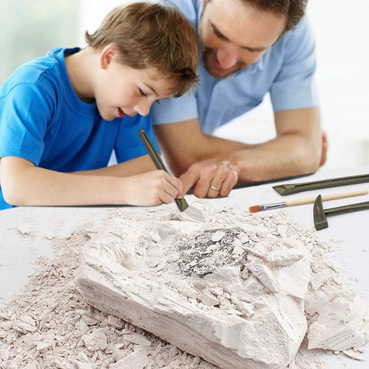 Large Dinosaur Skeleton Soil Excavation Kit – Dig, Discover & Assemble Fossil Model