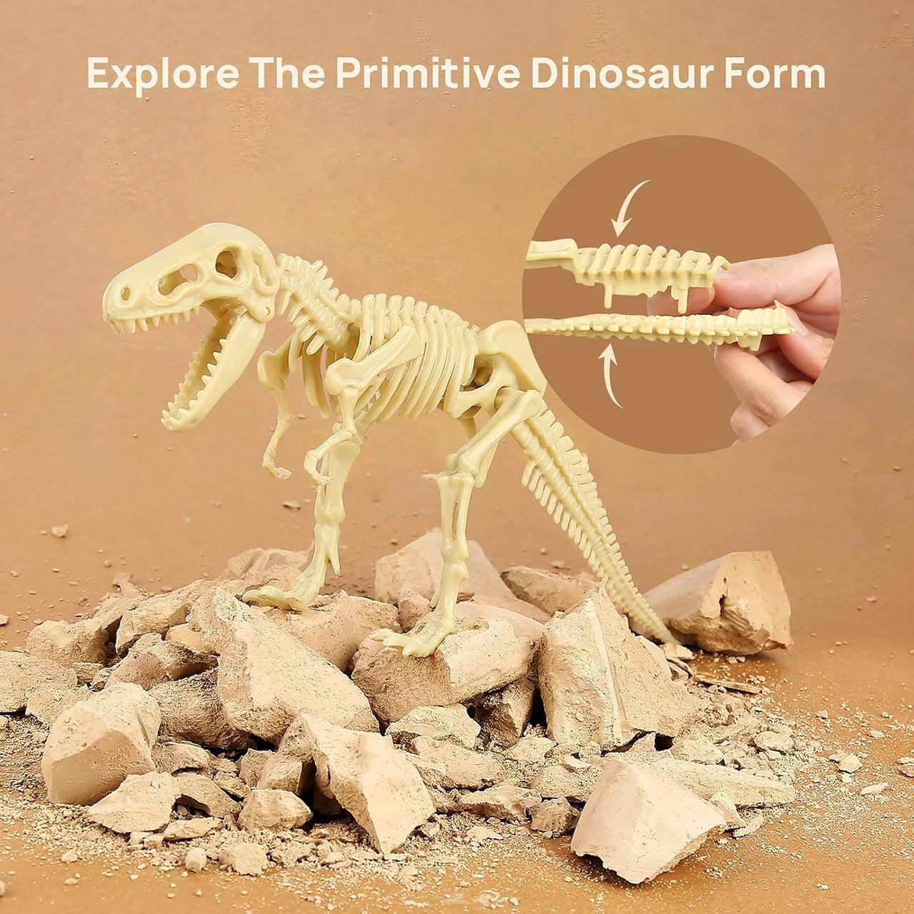 Large Dinosaur Skeleton Soil Excavation Kit – Dig, Discover & Assemble Fossil Model